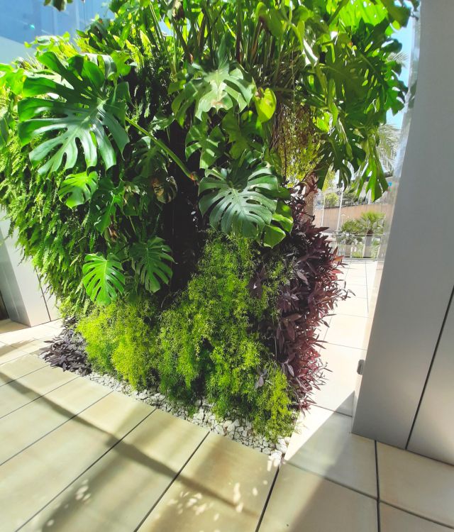 Vertical Gardening