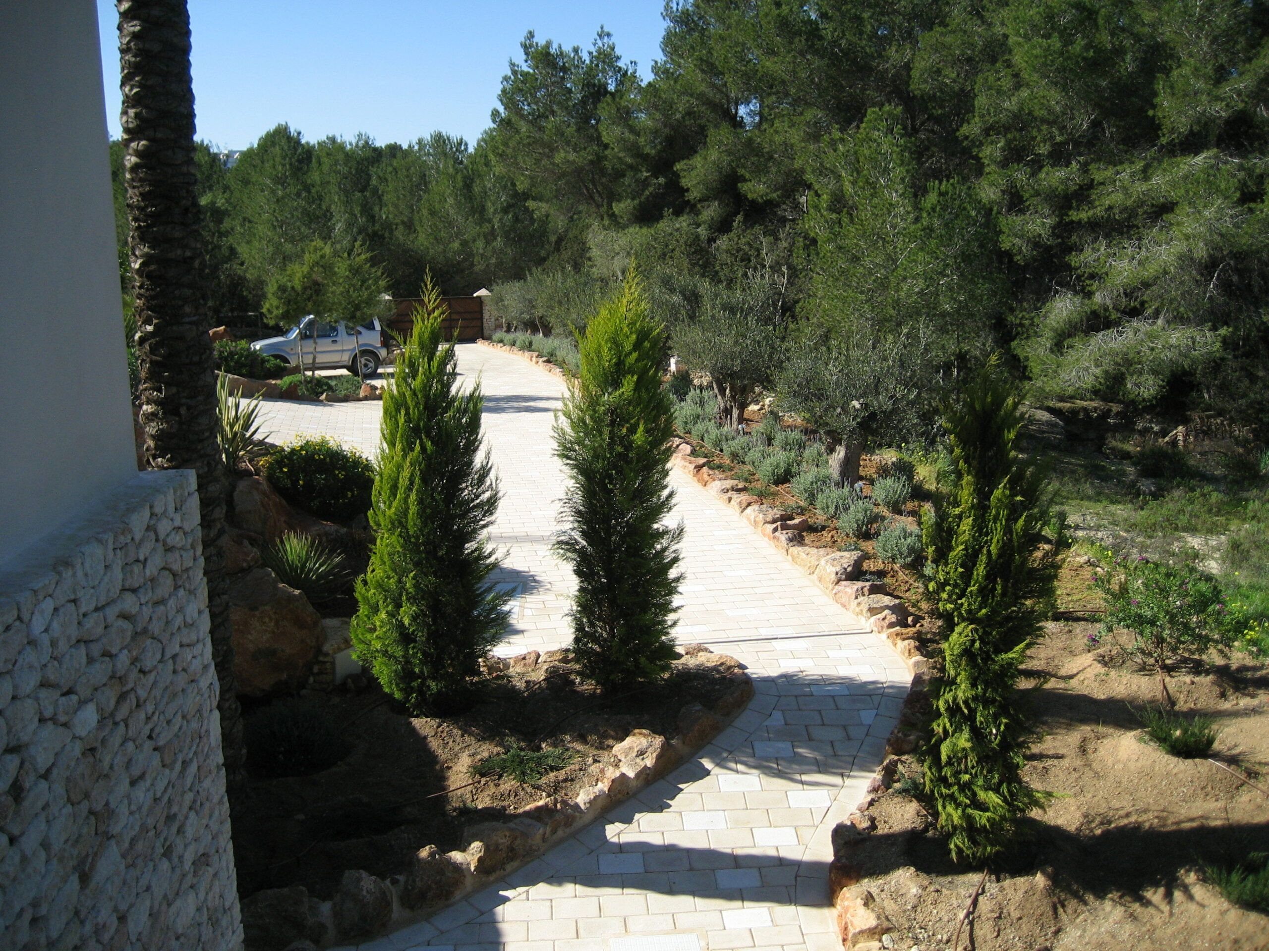 jardinverticalibiza_diseñorjardintradicionaleldespues