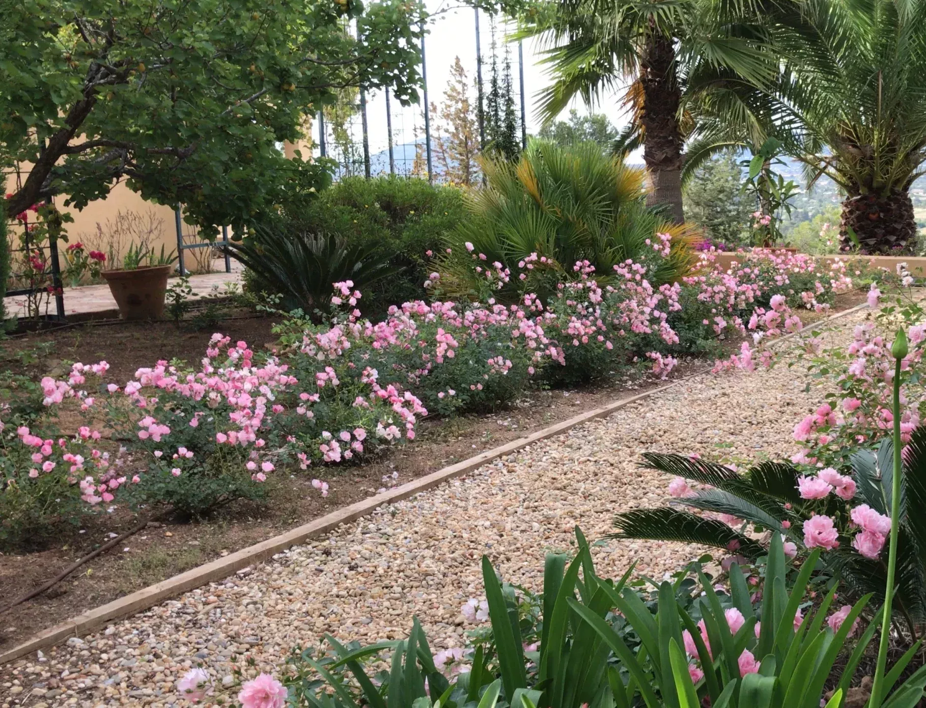 Jardín Tradicional. Jardín Vertical Ibiza. La Regadera.