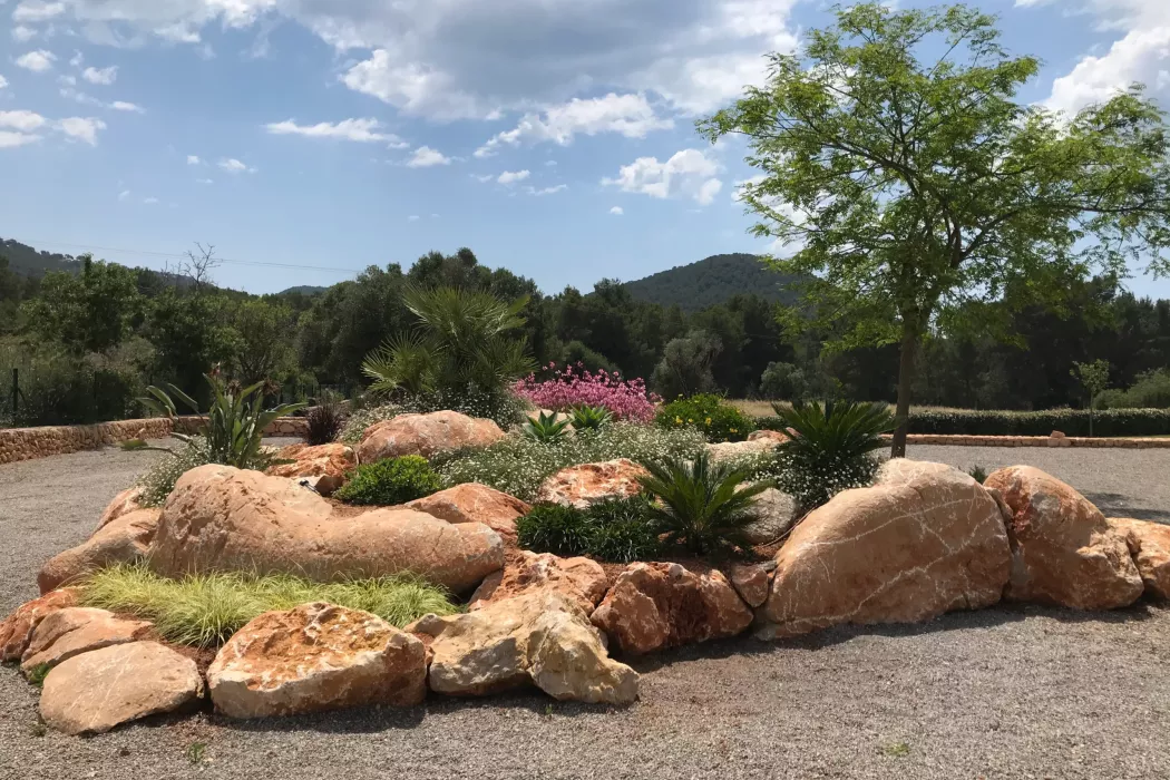 Rocalla. Jardín Vertical Ibiza. La Regadera.