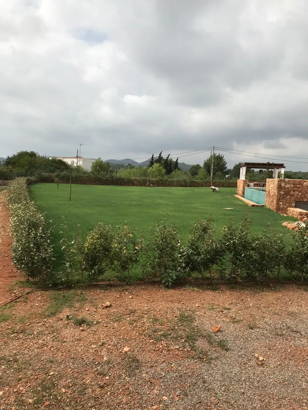 Instalación de cesped. Jardín Vertical Ibiza. La Regadera