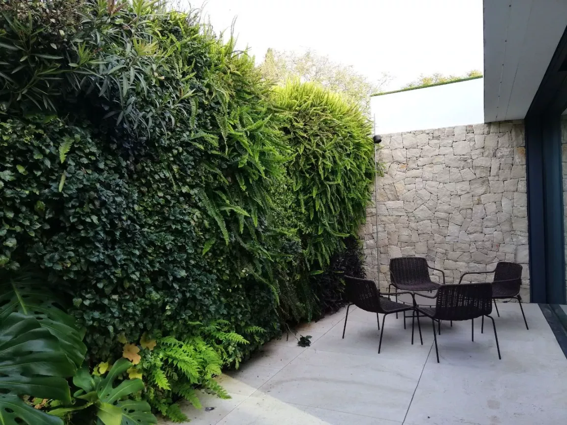 Consejos para instalar un jardín vertical en casa - Pinturas Rubio Ibiza