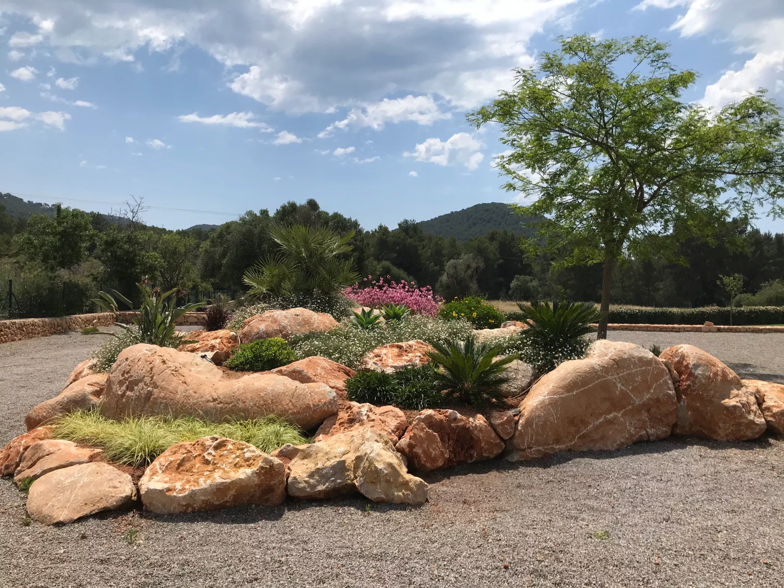 Rocalla. Jardín Vertical Ibiza. La Regadera.