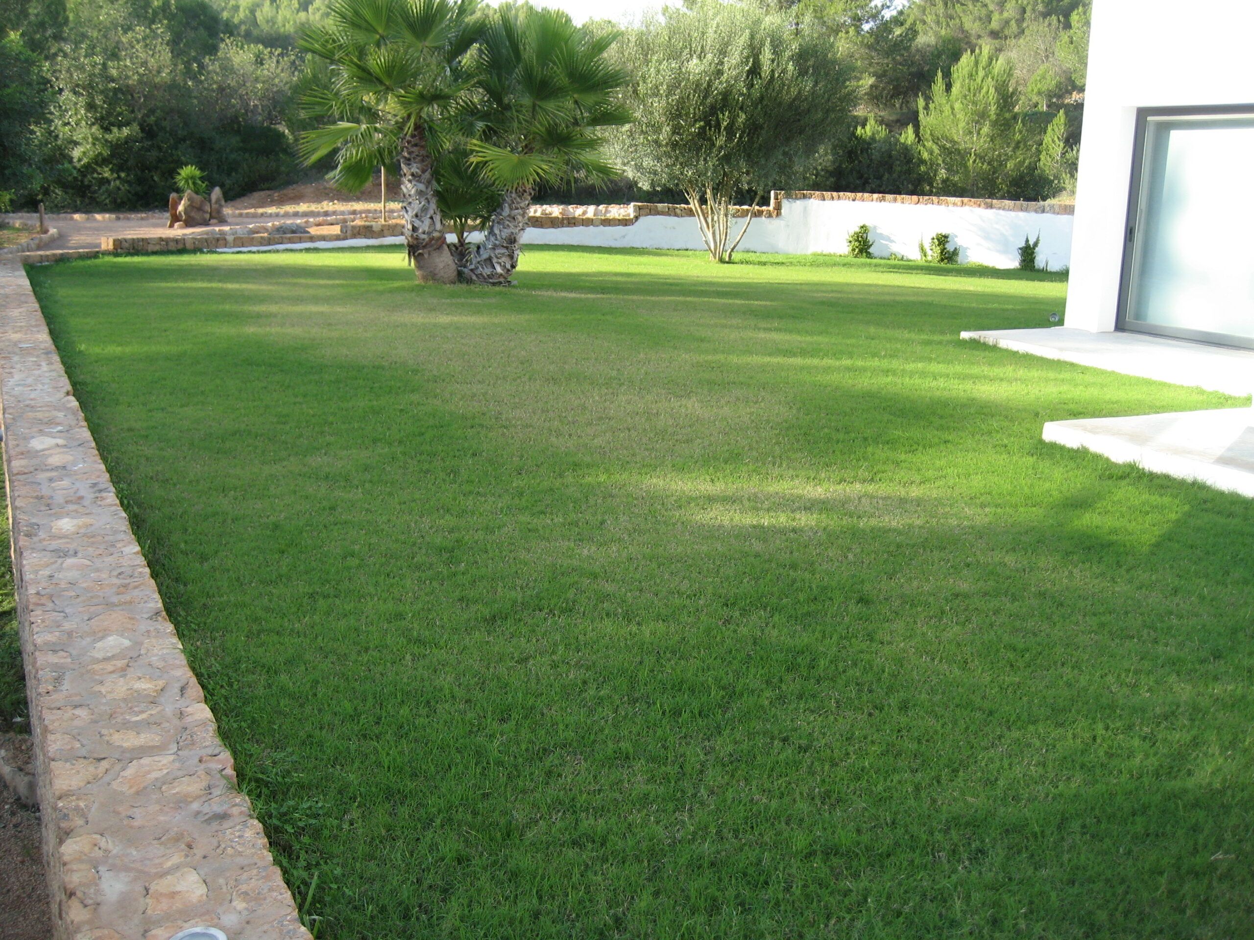 jardinvertical ibiza cesped