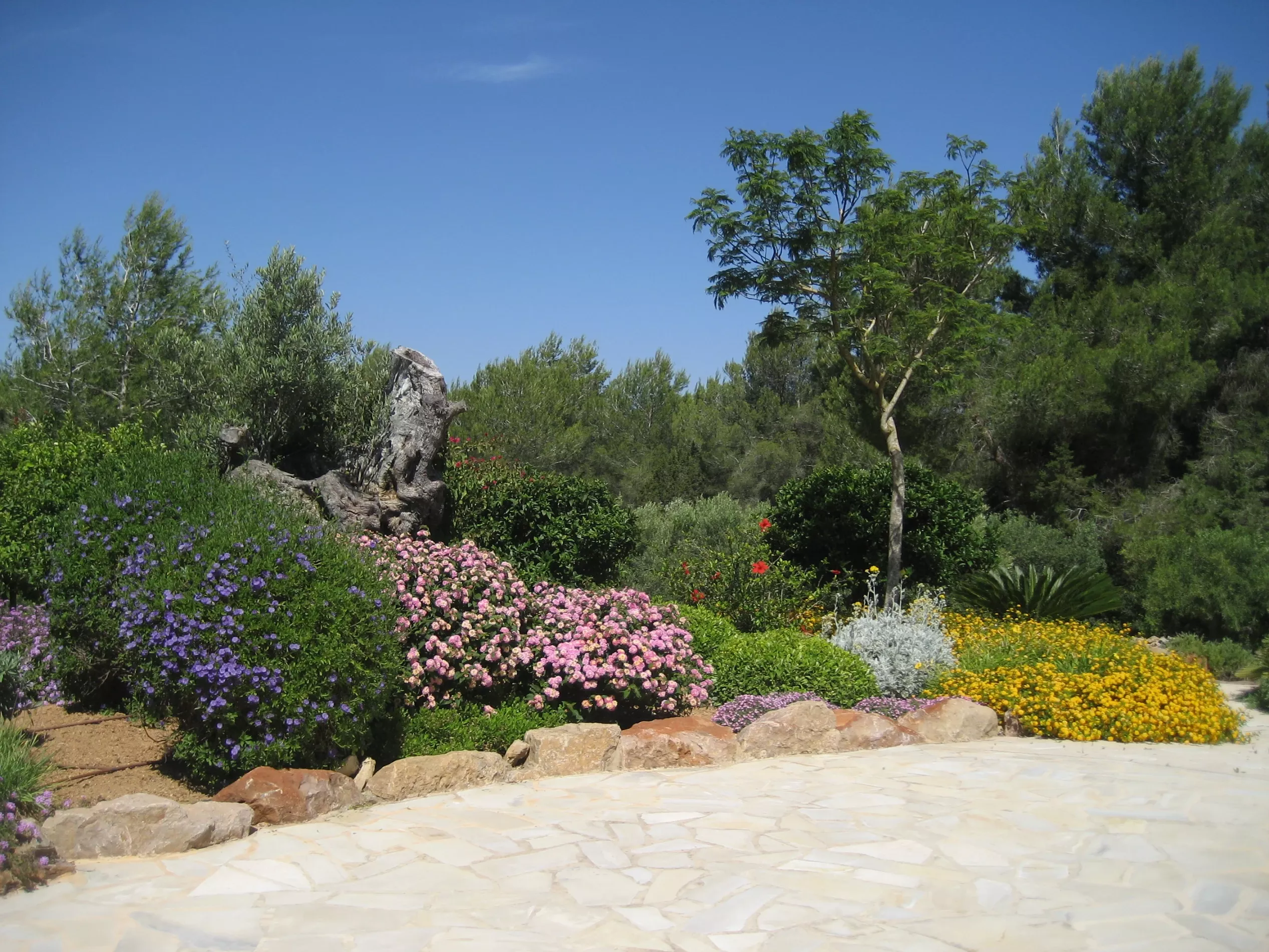 Jardín Tradicional. Jardín Vertical Ibiza. La Regadera.