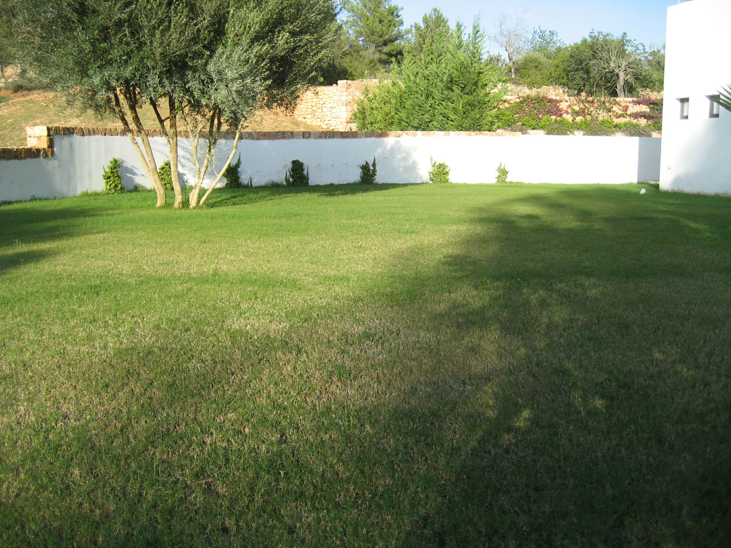 jardinvertical ibiza cesped