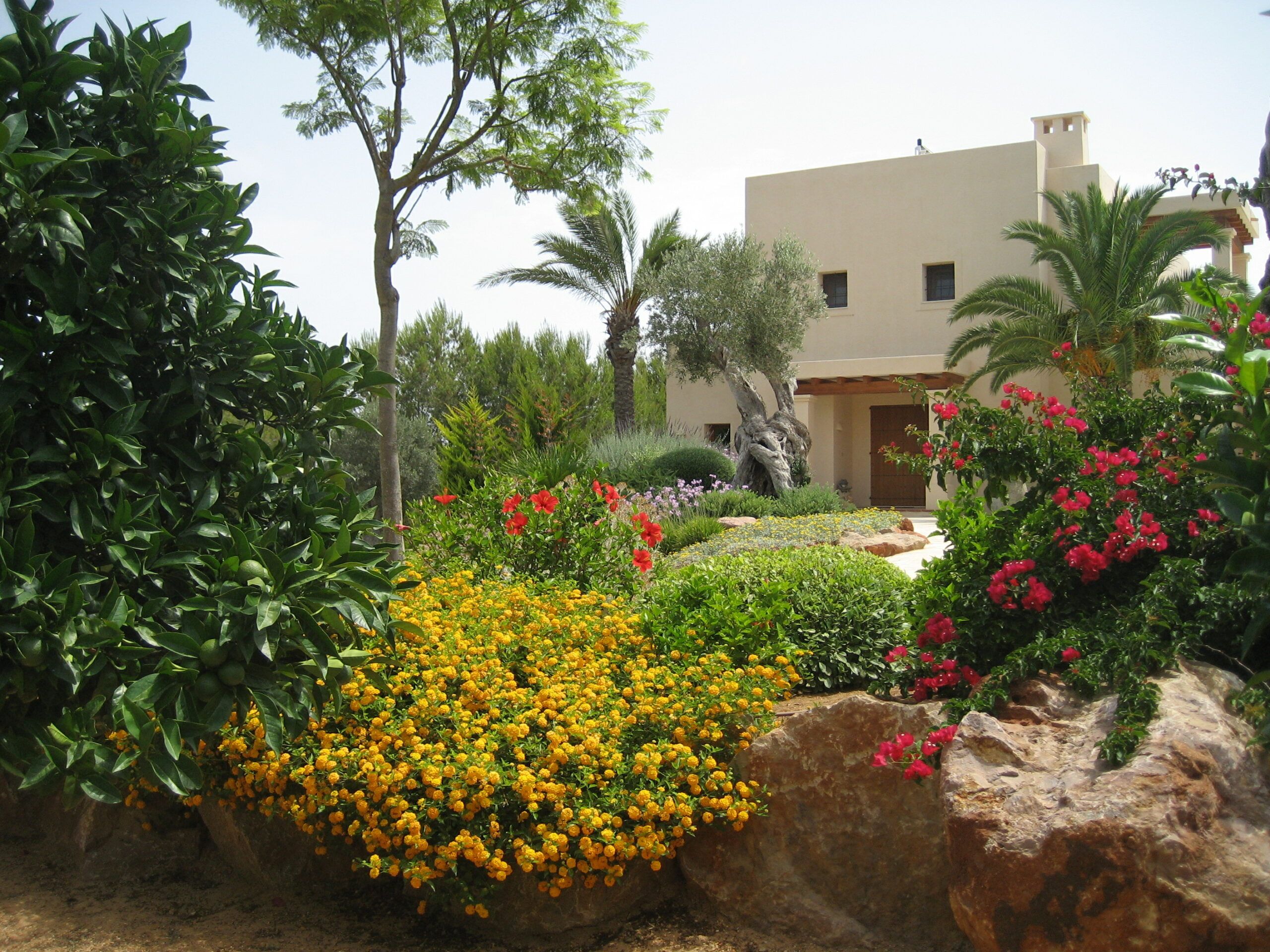 jardinverticalibiza_diseñodejardines 