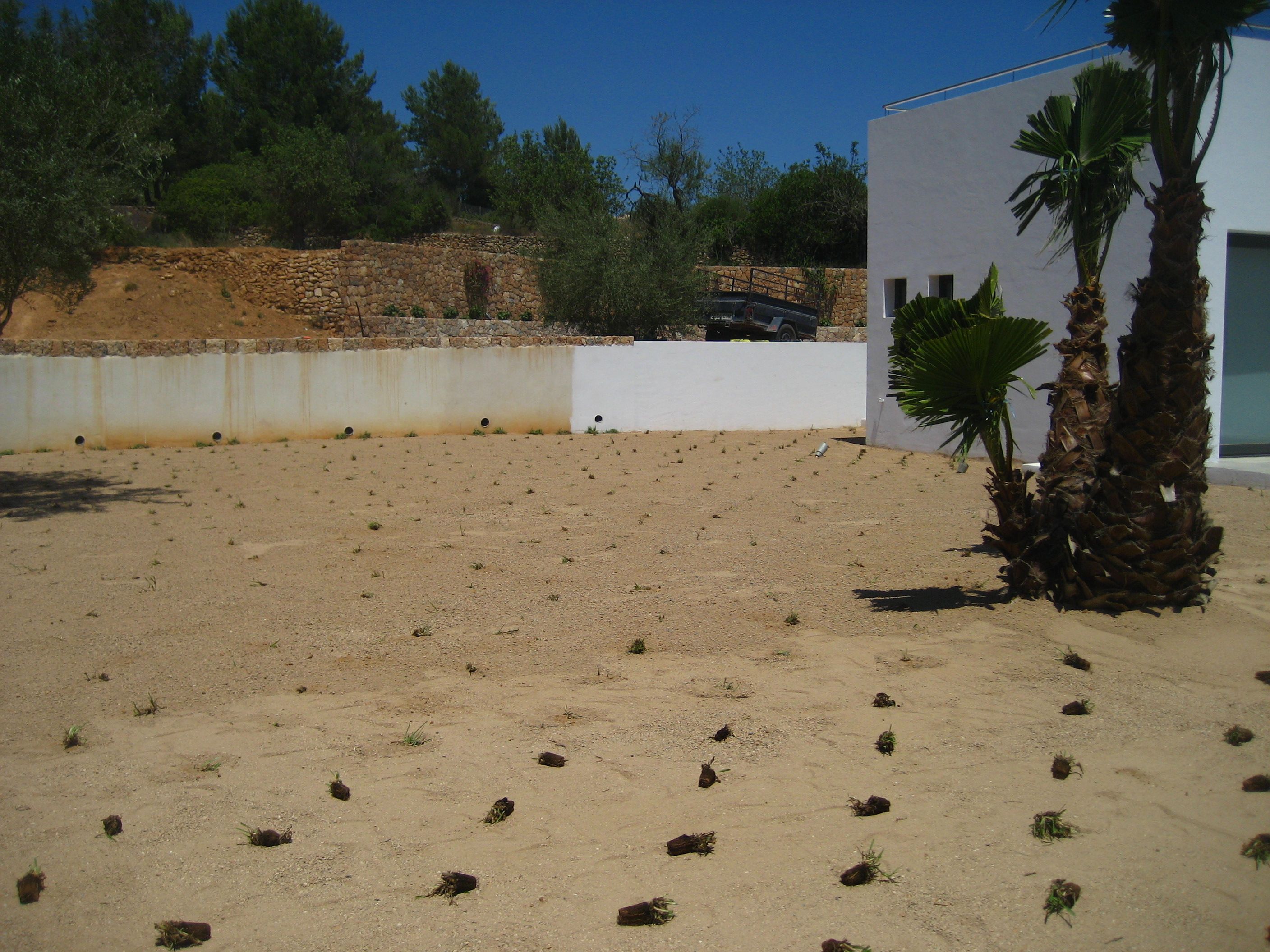 jardinvertical ibiza cesped