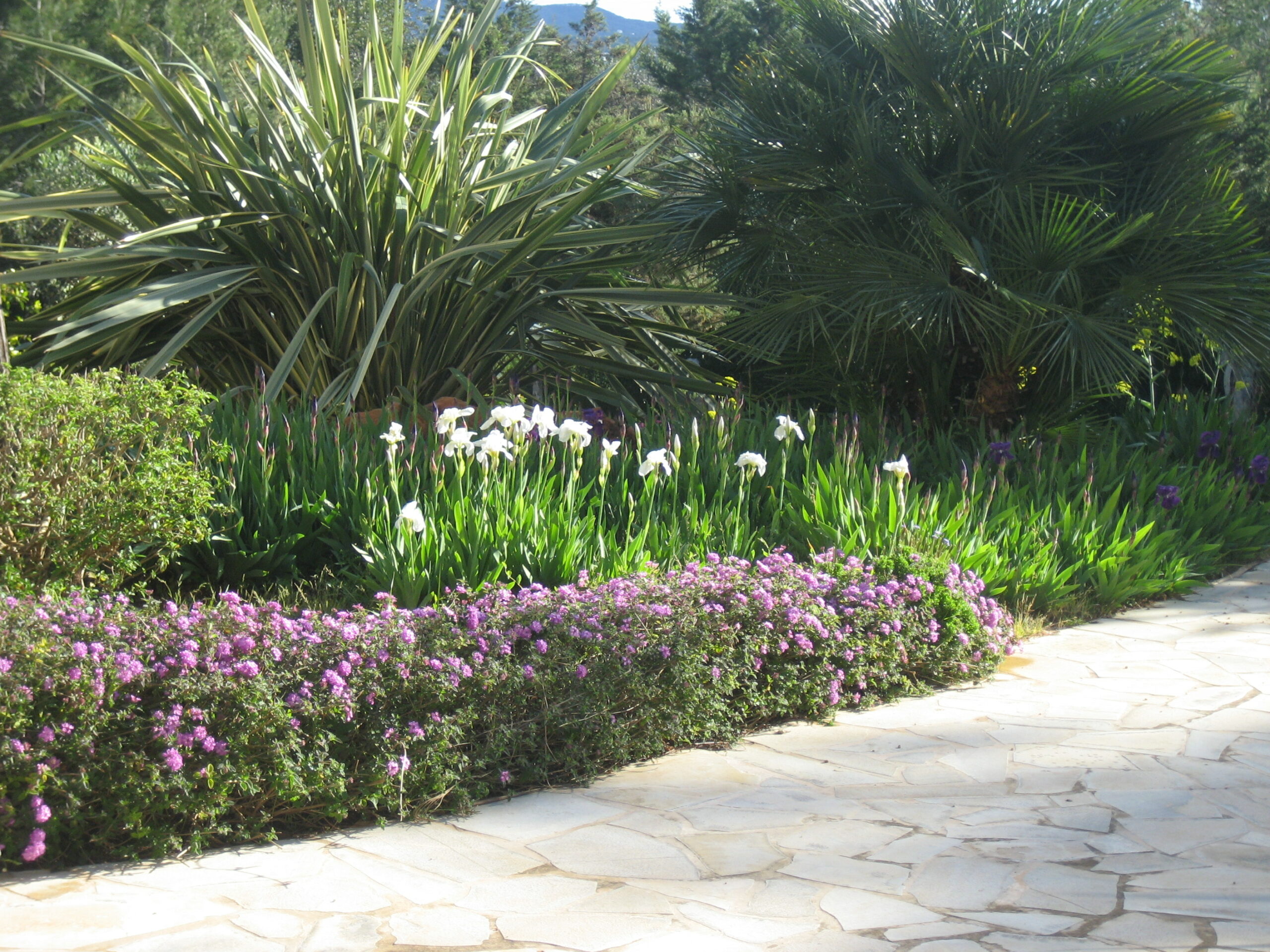 jardinverticalibiza creation of gardens