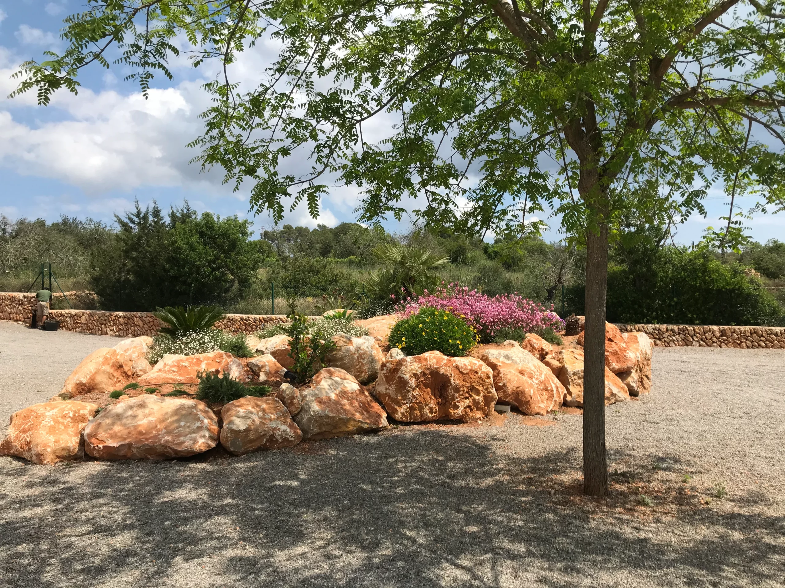 rockery. Vertical Garden Ibiza. La Regadera.