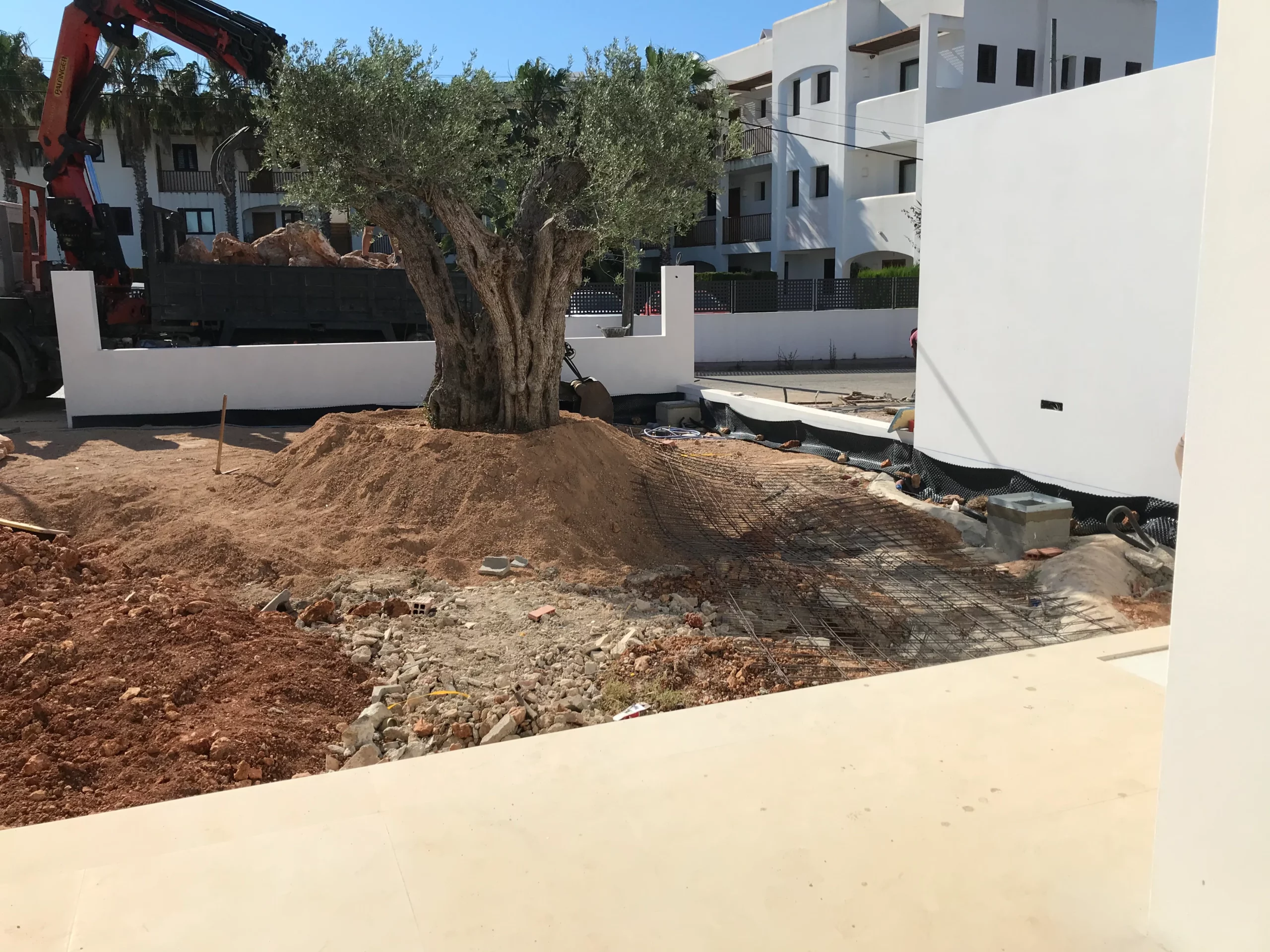 Olive rockery. Vertical Garden Ibiza. La Regadera.