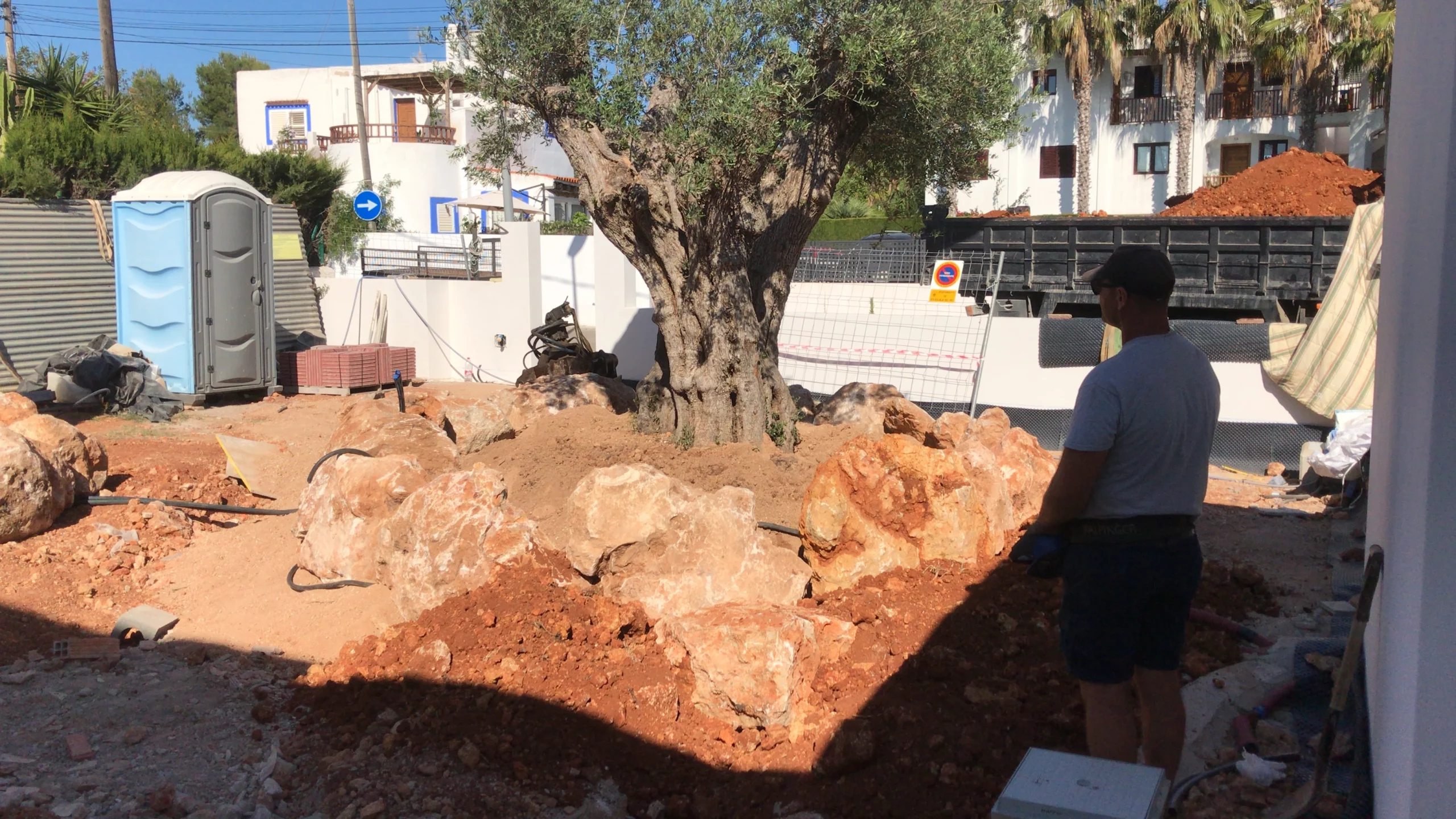 Olive rockery. Vertical Garden Ibiza. La Regadera.