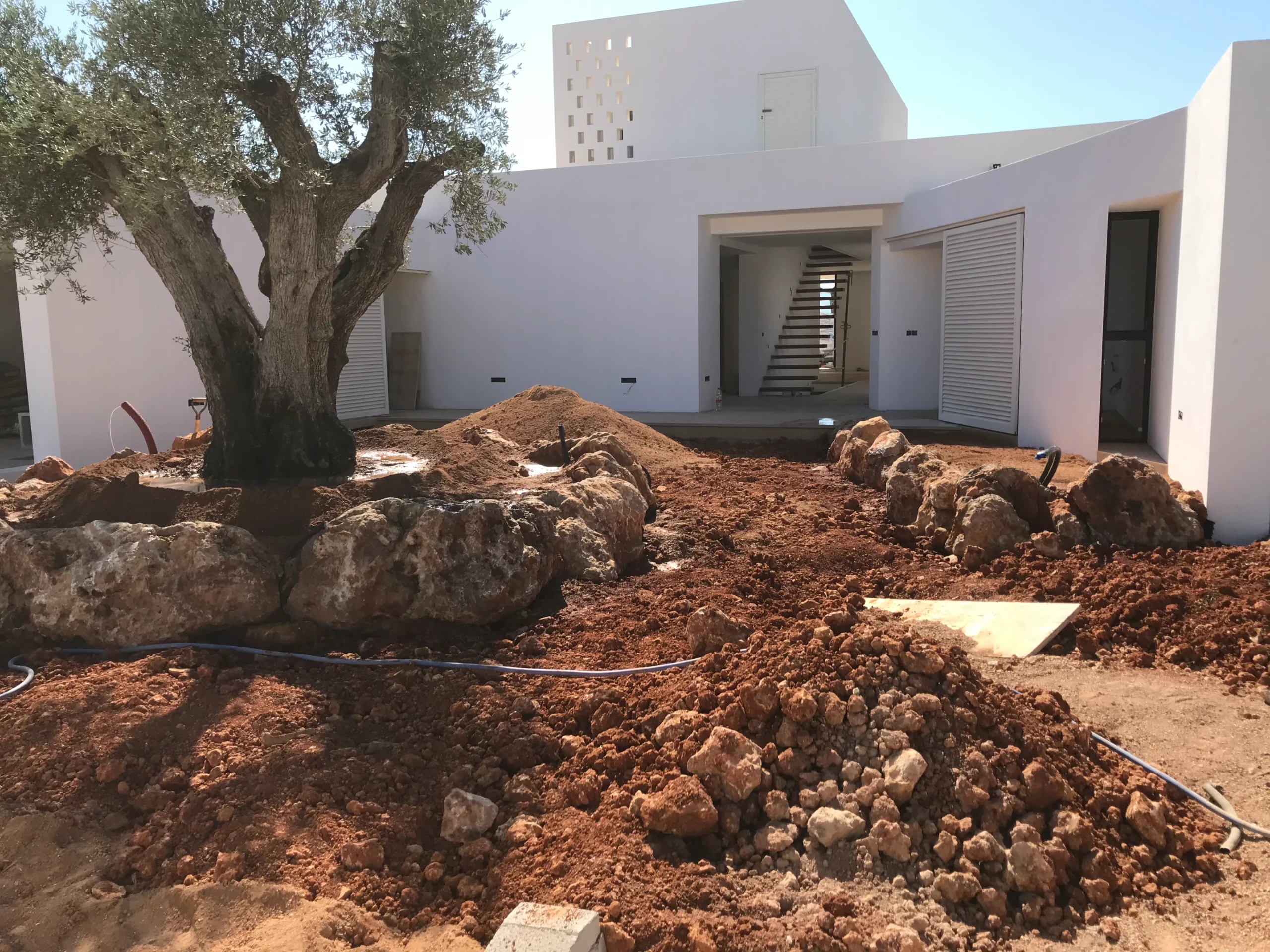 Olive rockery. Vertical Garden Ibiza. La Regadera.