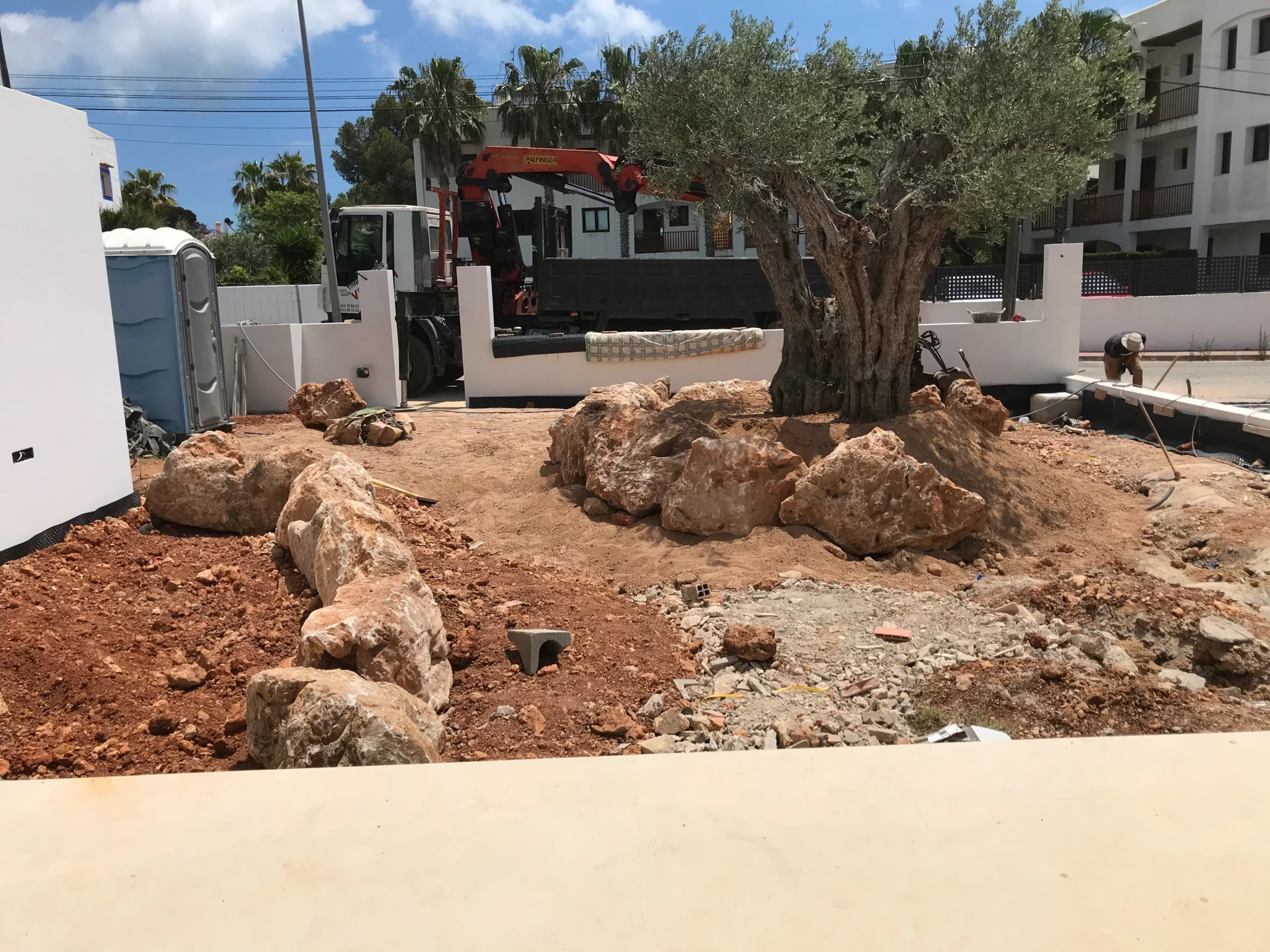 Olive rockery. Vertical Garden Ibiza. La Regadera.