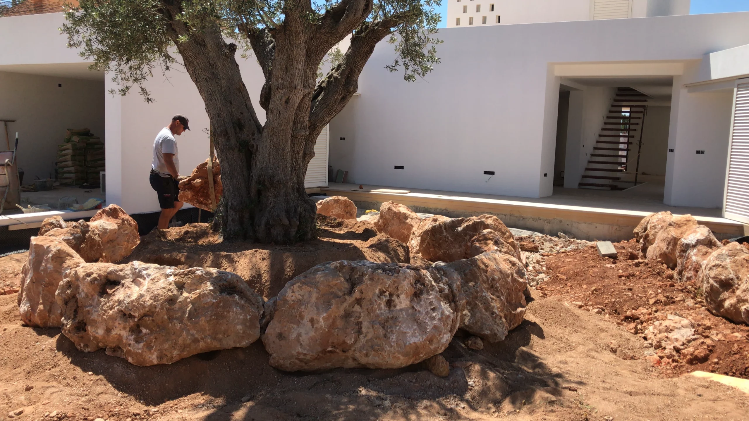 Olive rockery. Vertical Garden Ibiza. La Regadera.