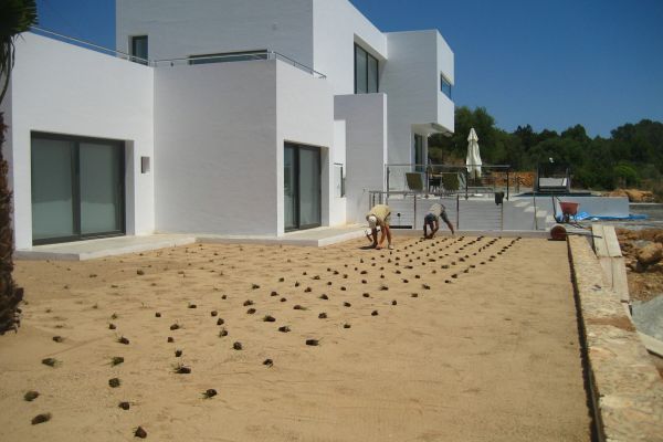 jardin vertical ibiza home