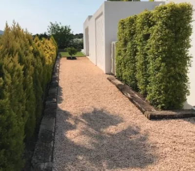 creation of gardens. borders and hedges. Vertical Garden Ibiza. La Regadera