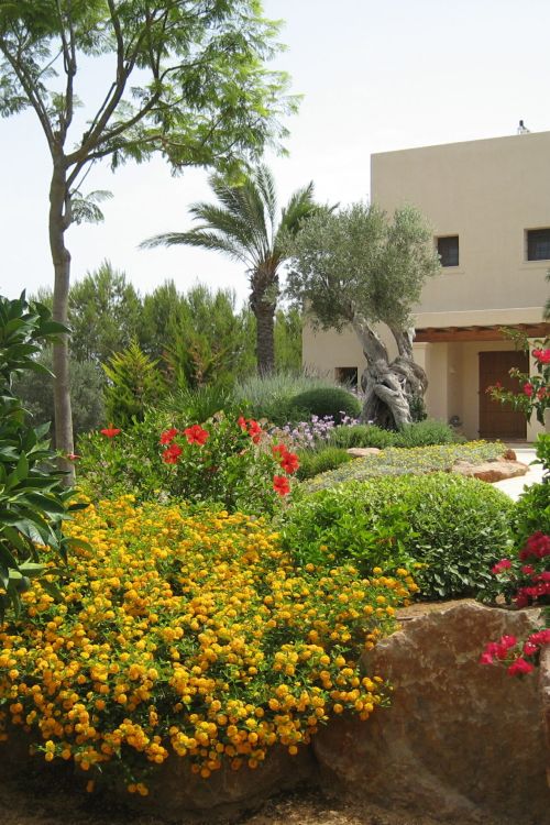 jardinverticalibiza_diseñodejardines