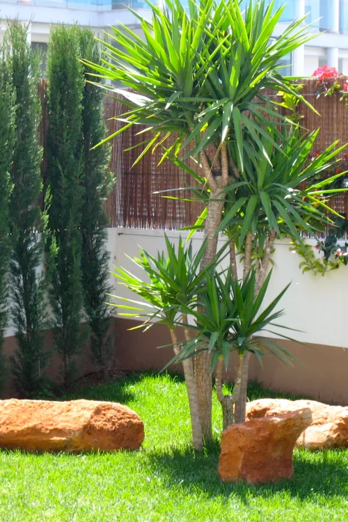 Jardín Tradicional. Jardín Vertical Ibiza. La Regadera.